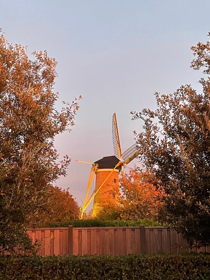 Gastenverblijf Bij De Buuren Dirksland Luaran gambar