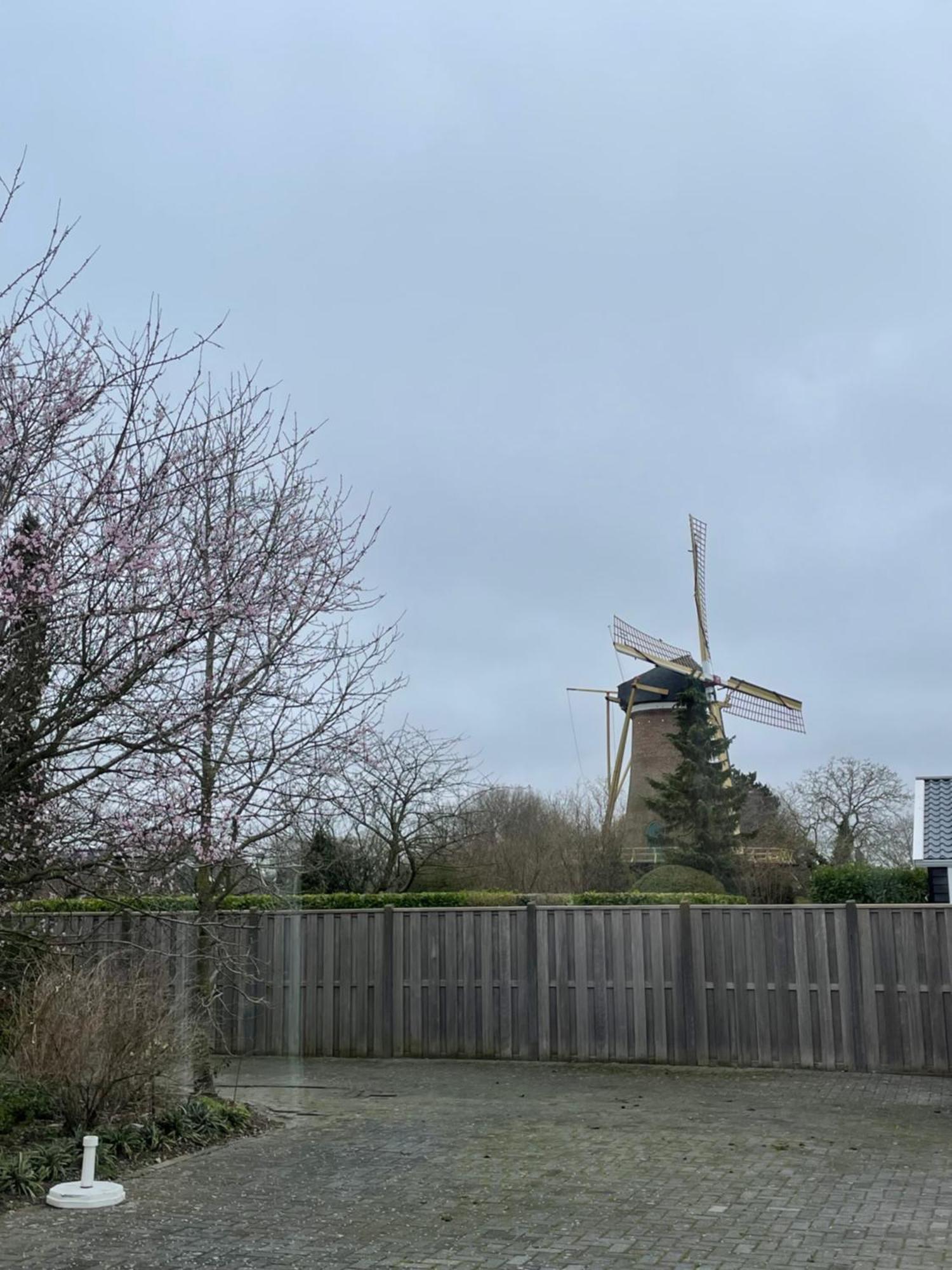Gastenverblijf Bij De Buuren Dirksland Luaran gambar
