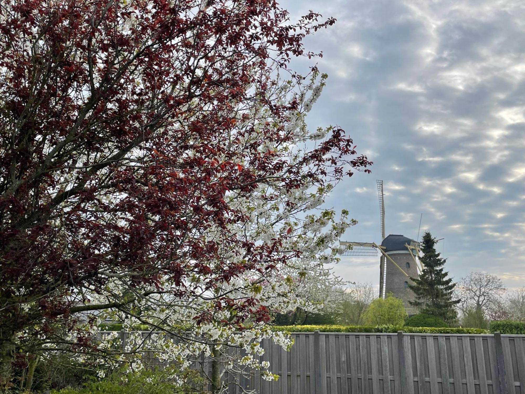 Gastenverblijf Bij De Buuren Dirksland Luaran gambar